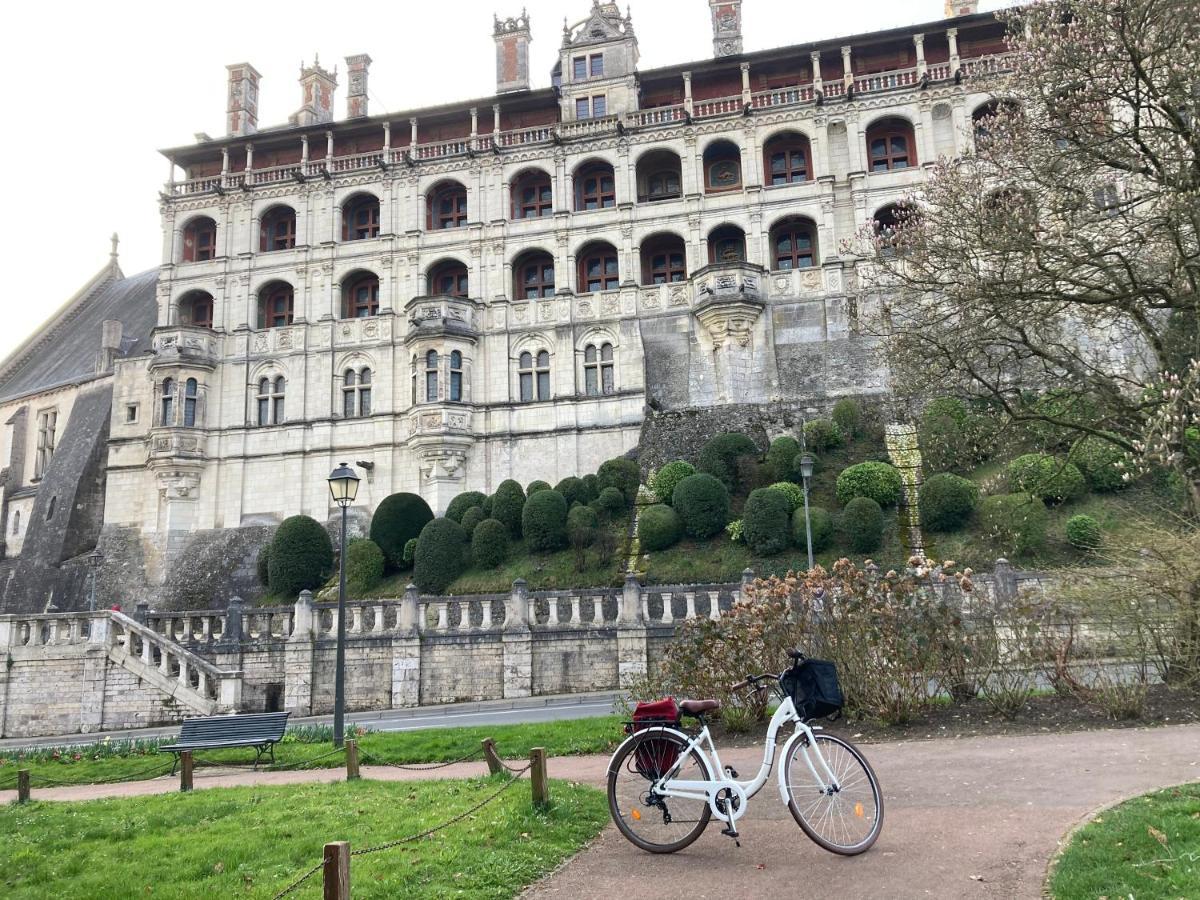 Gite Blois Chatel Exterior foto
